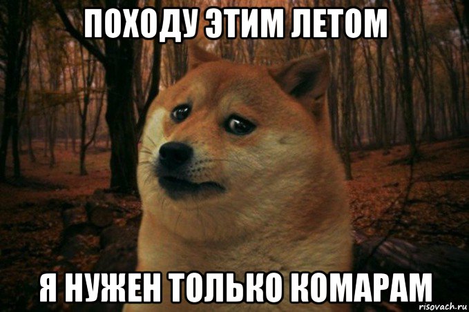 походу этим летом я нужен только комарам, Мем SAD DOGE