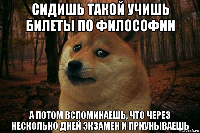 Как будто пришел. Пишите код так. Неуравновешенный Мем. Писать код Мем. Мем я неуравновешенный мне.