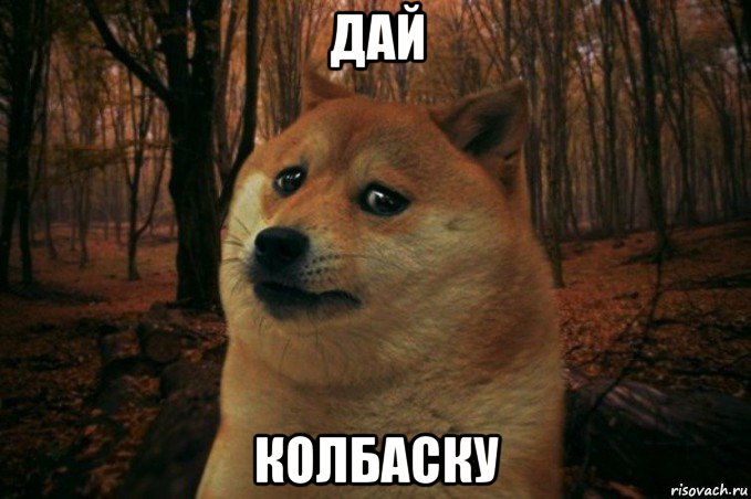 дай колбаску, Мем SAD DOGE