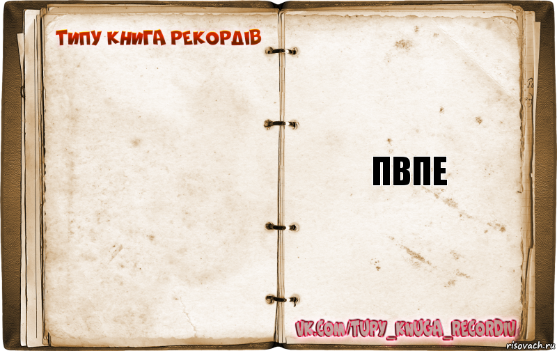  пвпе, Комикс  Типу книга рекордв