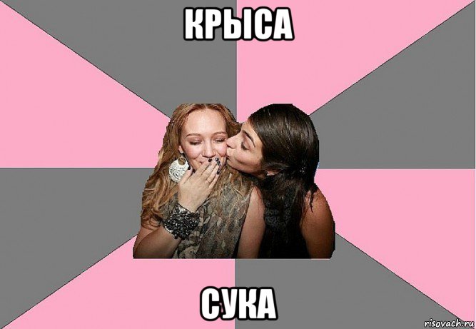 крыса сука