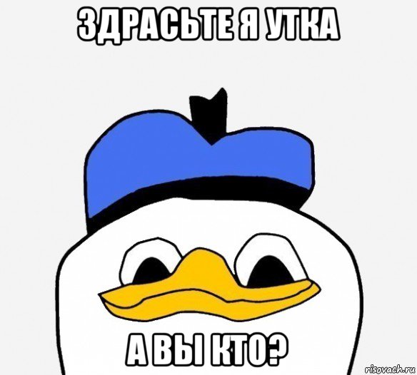 здрасьте я утка а вы кто?, Мем Утка