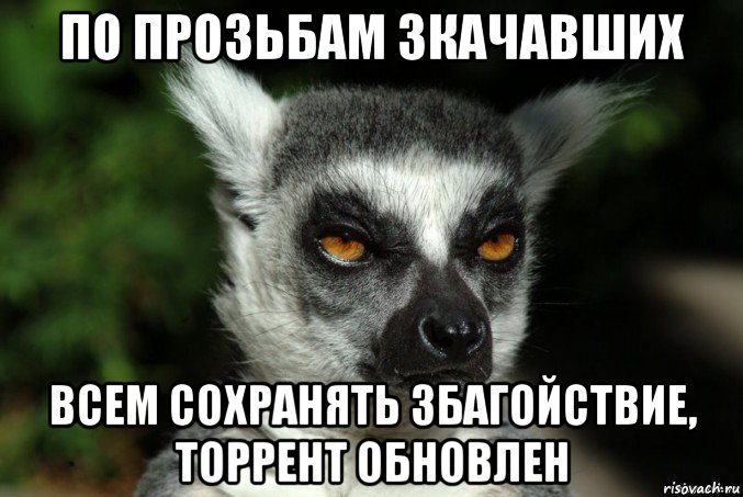 Куда со. Збагойствие. Збагойствие только збагойствие. Збагойствие Мем. Збагойствие только збагойствие картинки.