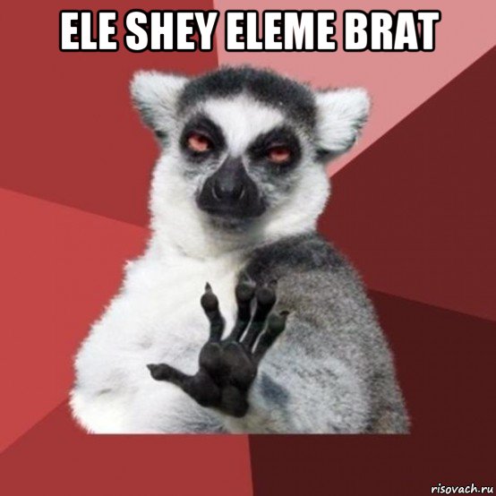 ele shey eleme brat , Мем Узбагойзя