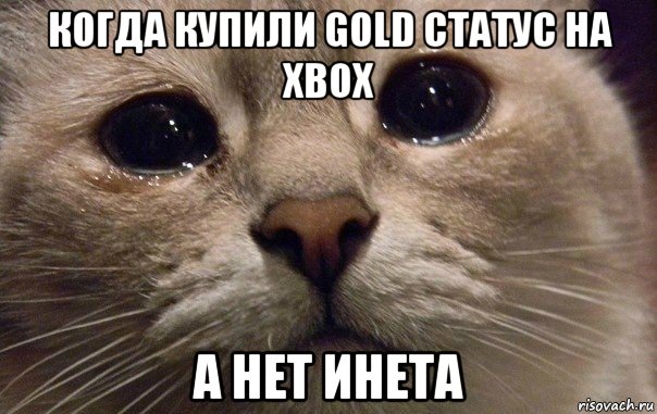 когда купили gold статус на xbox а нет инета, Мем   В мире грустит один котик