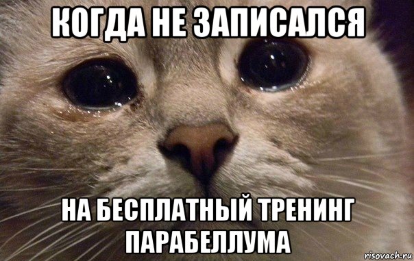 когда не записался на бесплатный тренинг парабеллума, Мем   В мире грустит один котик