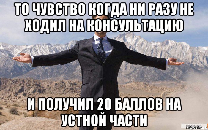 то чувство когда ни разу не ходил на консультацию и получил 20 баллов на устной части, Мем железный человек