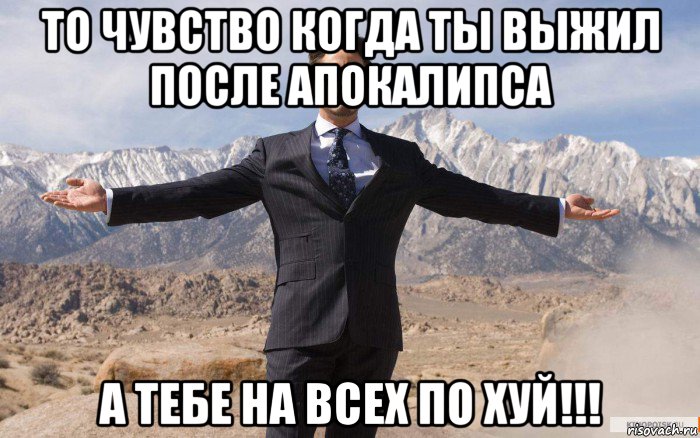 то чувство когда ты выжил после апокалипса а тебе на всех по хуй!!!, Мем железный человек