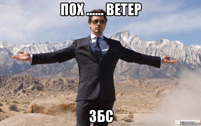 пох ...... ветер збс, Мем железный человек