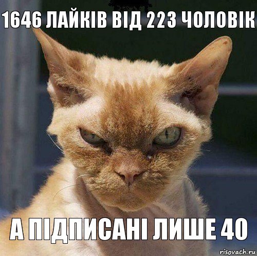 1646 лайків від 223 чоловік А підписані лише 40, Комикс  злой кот