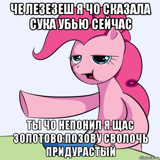 че лезезеш я чо сказала сука убью сейчас ты чо непонил я щас золотово позову сволочь придурастый, Мем злой пони