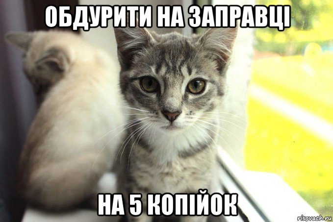 Вовсе не очень не. Тебе меня не жалко. Ты совсем со мной не разговариваешь. Гошка. Это совсем не про меня.