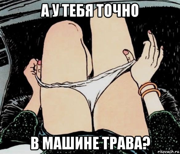 а у тебя точно в машине трава?, Мем А ты точно