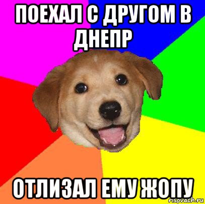 поехал с другом в днепр отлизал ему жопу, Мем Advice Dog