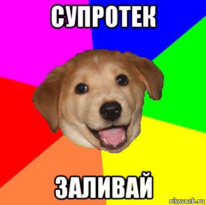 супротек заливай, Мем Advice Dog