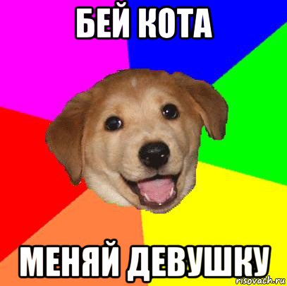 бей кота меняй девушку, Мем Advice Dog