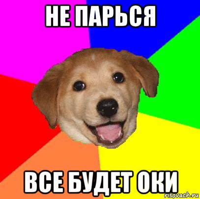 не парься все будет оки, Мем Advice Dog