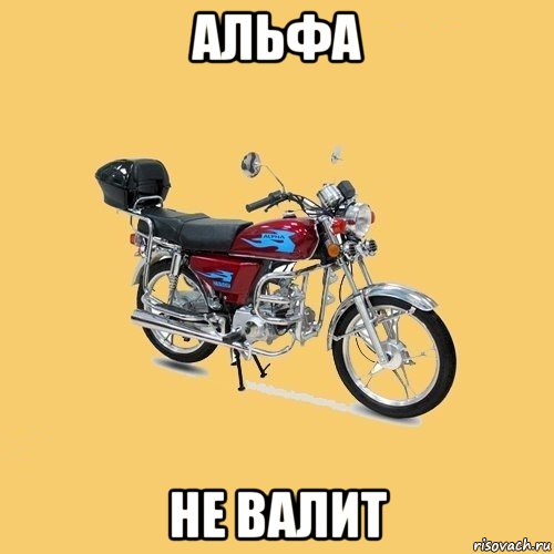 альфа не валит, Мем альфа