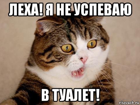 леха! я не успеваю в туалет!