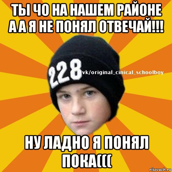 ты чо на нашем районе а а я не понял отвечай!!! ну ладно я понял пока(((, Мем  Циничный школьник