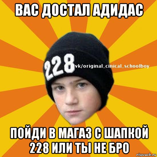 вас достал адидас пойди в магаз с шапкой 228 или ты не бро, Мем  Циничный школьник