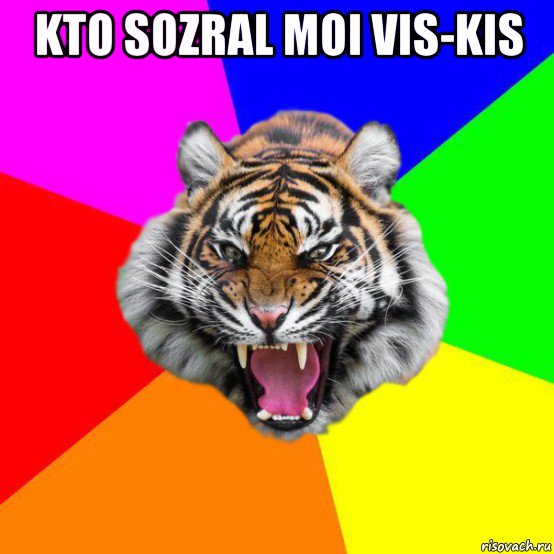 kto sozral moi vis-kis , Мем  ДЕРЗКИЙ ТИГР