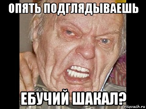 Шакализатор. Сжимаешь Шакал. Шакал Мем. Шакал пиксели.