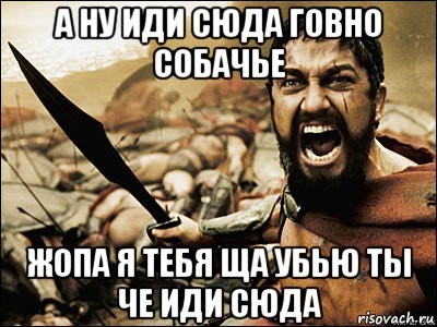 а ну иди сюда говно собачье жопа я тебя ща убью ты че иди сюда, Мем Это Спарта