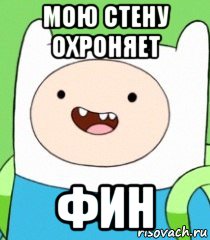 мою стену охроняет фин