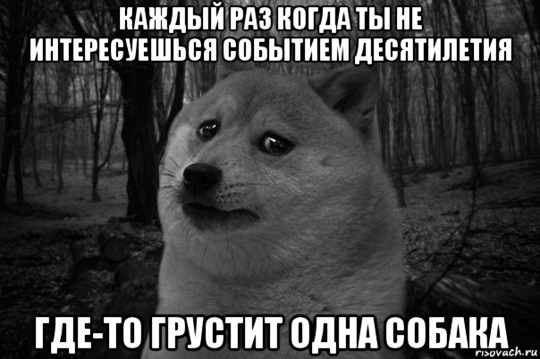 каждый раз когда ты не интересуешься событием десятилетия где-то грустит одна собака, Мем    Грусть-пичаль