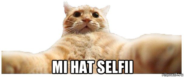  mi hat selfii, Мем   Кэтсвилл