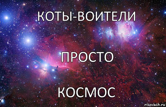 коты-воители космос просто, Комикс  Космос