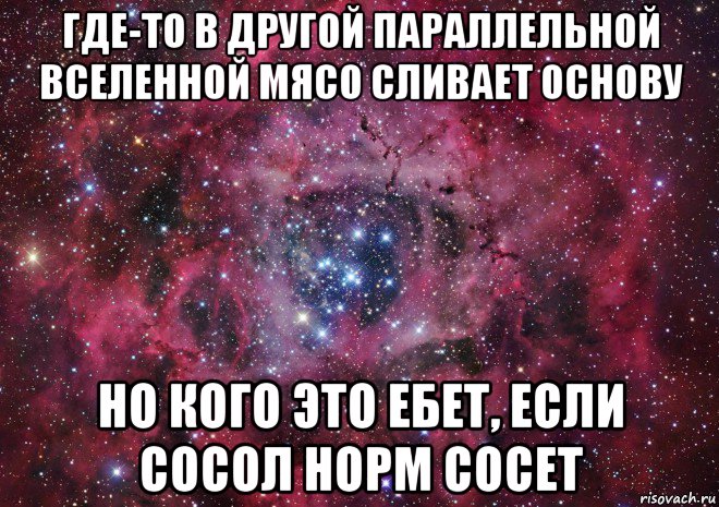 где-то в другой параллельной вселенной мясо сливает основу но кого это ебет, если сосол норм сосет, Мем Ты просто космос