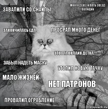 Завалили со снайпы Утопил новую тачку Просрал много денег Провалил ограбление Забыл надеть маску Много денег и пять звезд полиции Нет патронов Закончилась еда Мало жизней Это гта онлайн детка!!!, Комикс  кот безысходность