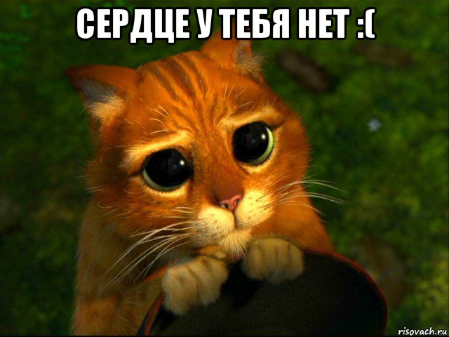 сердце у тебя нет :( , Мем кот из шрека