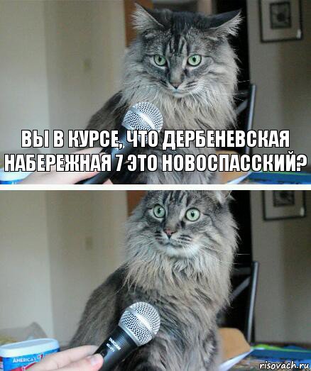 Вы в курсе, что Дербеневская набережная 7 это Новоспасский? , Комикс  кот с микрофоном