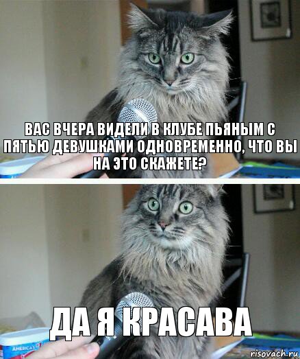 Вас вчера видели в клубе пьяным с пятью девушками одновременно, что вы на это скажете? Да я красава, Комикс  кот с микрофоном