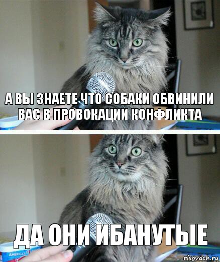 а вы знаете что собаки обвинили вас в провокации конфликта Да они ибанутые, Комикс  кот с микрофоном