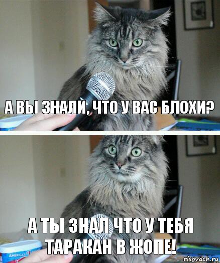 А вы знали, что у вас блохи? А ты знал что у тебя таракан в жопе!, Комикс  кот с микрофоном