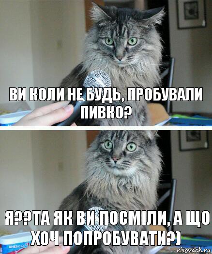 ви коли не будь, пробували пивко? я??та як ви посміли, а що хоч попробувати?), Комикс  кот с микрофоном