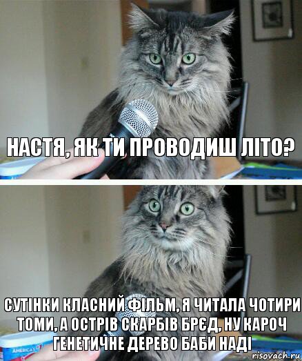 Настя, як ти проводиш літо? Сутінки класний фільм, я читала чотири томи, а острів скарбів брєд, ну кароч генетичне дерево баби Наді, Комикс  кот с микрофоном