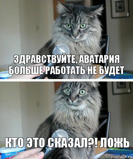 Здравствуйте, аватария больше работать не будет КТО ЭТО СКАЗАЛ?! ЛОЖЬ, Комикс  кот с микрофоном