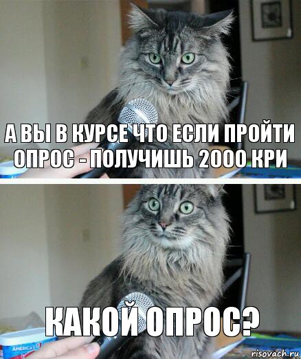 А вы в курсе что если пройти опрос - получишь 2000 кри Какой опрос?, Комикс  кот с микрофоном