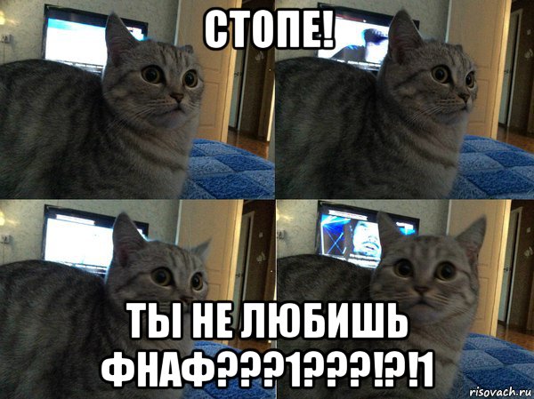 стопе! ты не любишь фнаф???1???!?!1, Мем  Кот в шоке