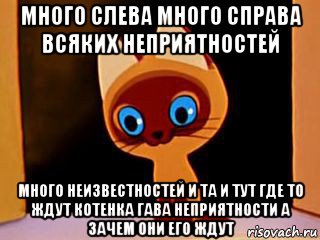 Пошли много. Где то ждут котёнка Гава неприятности. Котенок Гав неприятности ждут. Котенок Гав мемы. Котенка Гава неприятности.