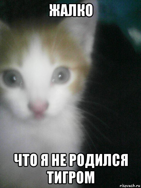Видишь мой глаз мем кнопка