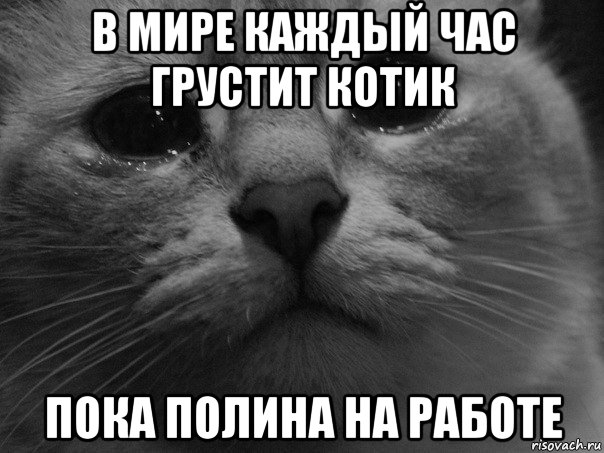 в мире каждый час грустит котик пока полина на работе, Мем  котик