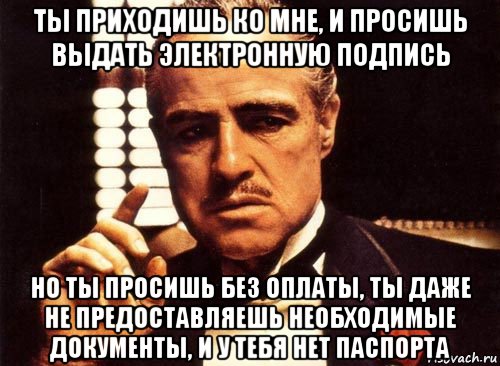 ты приходишь ко мне, и просишь выдать электронную подпись но ты просишь без оплаты, ты даже не предоставляешь необходимые документы, и у тебя нет паспорта, Мем крестный отец