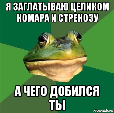 я заглатываю целиком комара и стрекозу а чего добился ты, Мем  Мерзкая жаба