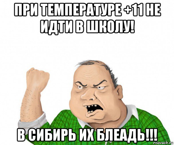 при температуре +11 не идти в школу! в сибирь их блеадь!!!, Мем мужик